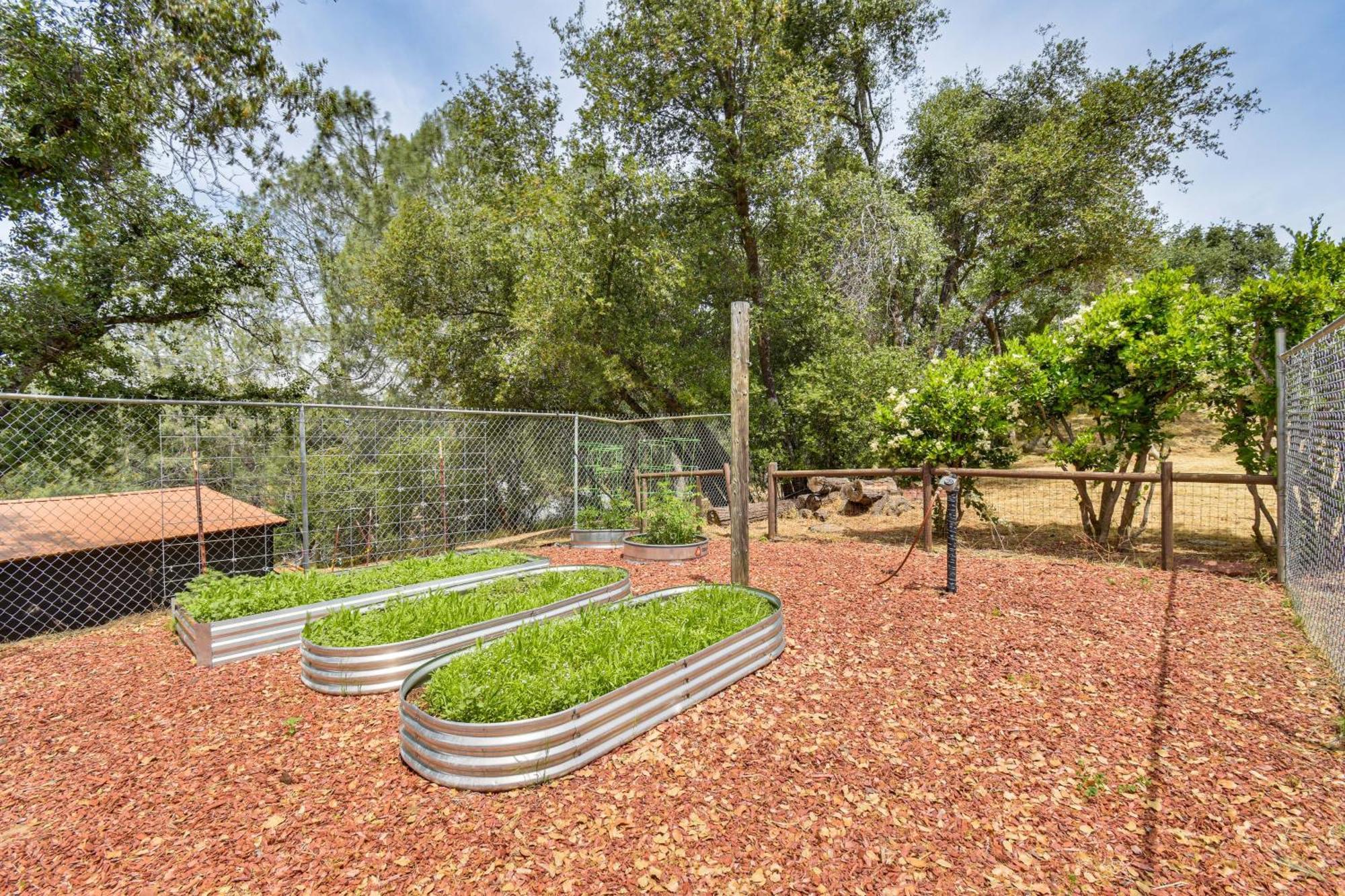 דירות אהוואני Yosemite Wellbeing Retreat On 5 Acres With Mtn Views מראה חיצוני תמונה